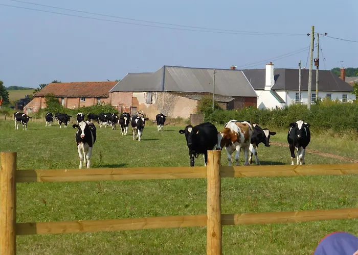 Courtbrook Farm